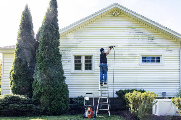 Best Fence Cleaning  in Nes, IL