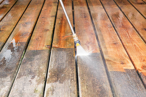 Best Dumpster Area Cleaning  in Nes, IL