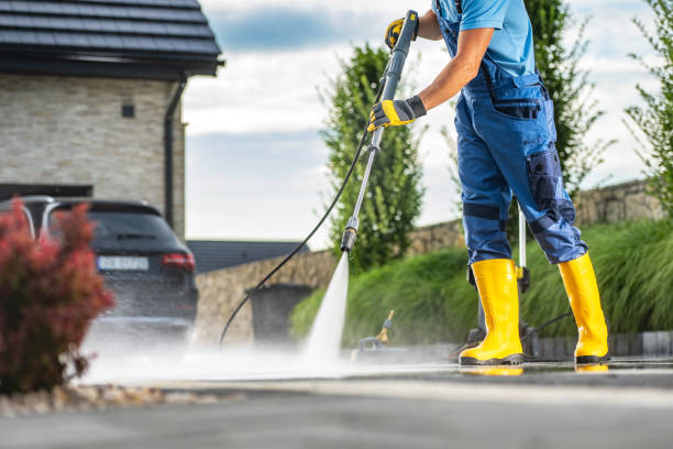 Best Driveway Pressure Washing  in Nes, IL